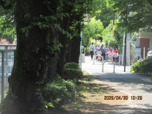 IMG_2142