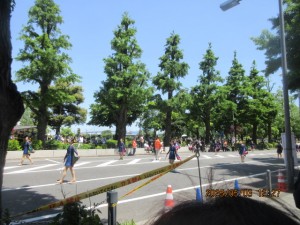IMG_2210
