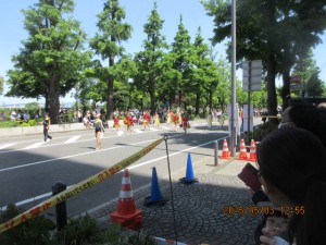 IMG_2229