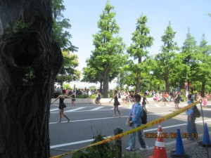 IMG_2240