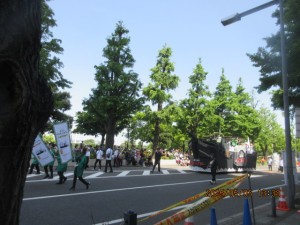 IMG_2252