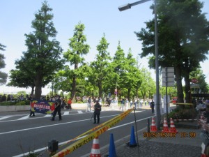 IMG_2254