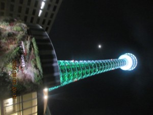 IMG_2306