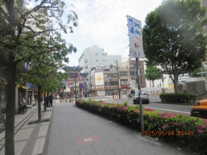 IMG_2328