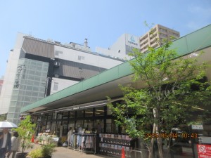 IMG_2354