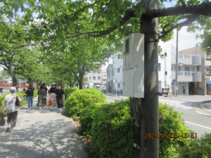 IMG_2358