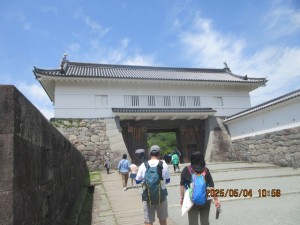 IMG_2367