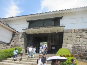 IMG_2375