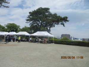 IMG_2377
