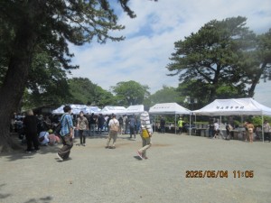 IMG_2378