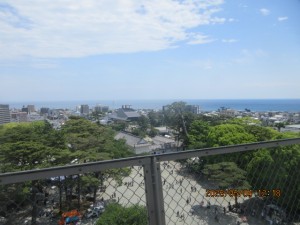 IMG_2401