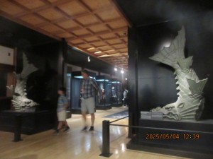 IMG_2420