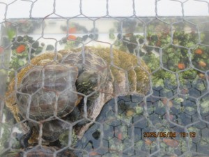 IMG_2436