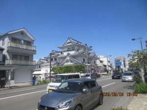 IMG_2446