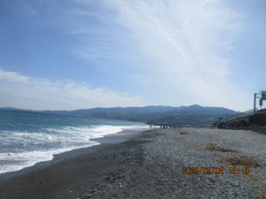 IMG_2476