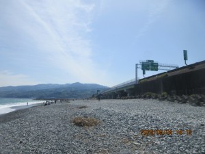 IMG_2477