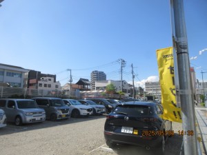 IMG_2490