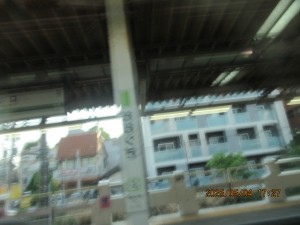 IMG_2530