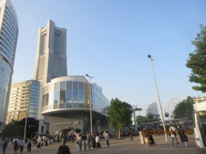 IMG_2533