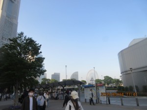 IMG_2534