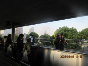 IMG_2536