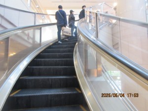 IMG_2542
