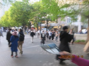 IMG_2568