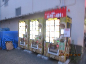 IMG_2592