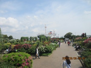 IMG_2611
