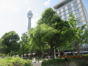 IMG_2612