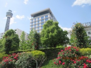 IMG_2613