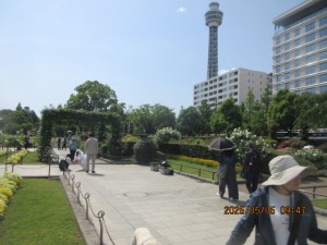 IMG_2616