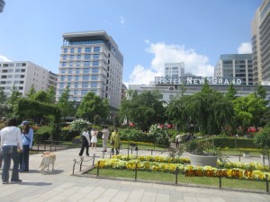 IMG_2617