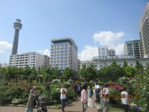 IMG_2619