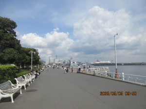 IMG_2621