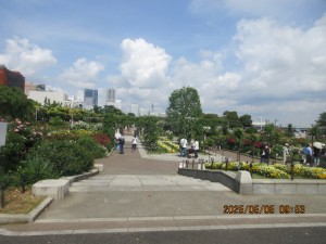 IMG_2623