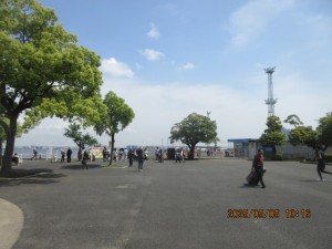 IMG_2625