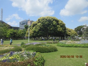 IMG_2628