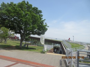 IMG_2638