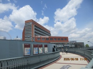 IMG_2652