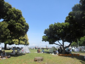 IMG_2671