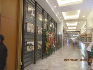 IMG_2713