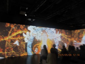 IMG_2752