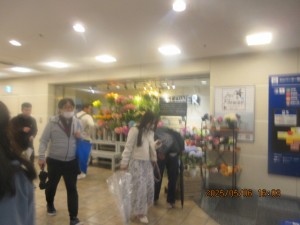 IMG_2795
