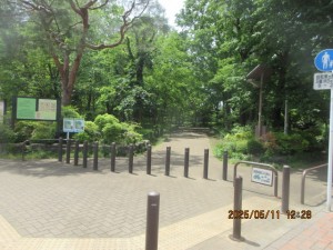 IMG_2828