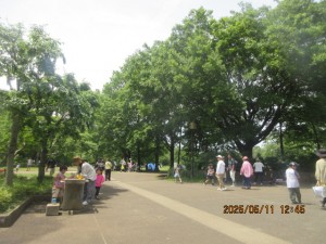 IMG_2831