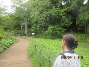 IMG_2841