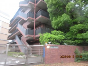 IMG_2853