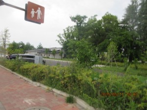 IMG_2854
