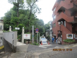 IMG_2862